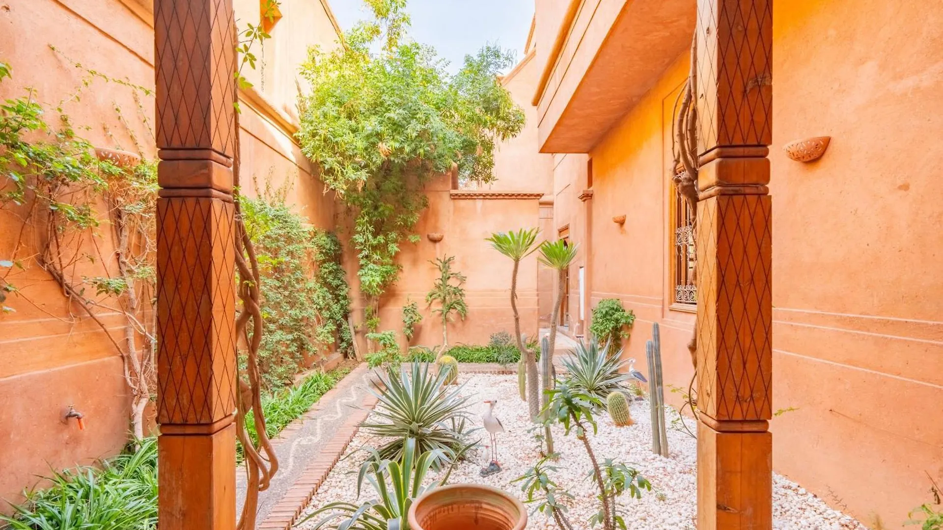 Villa Les Oliviers Marrakesh Morocco
